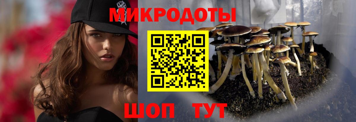 Обь  Псилоцибиновые грибы Magic Shrooms  Вход с VPN 